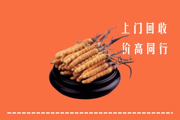 高价求购：芦淞区回收散虫草