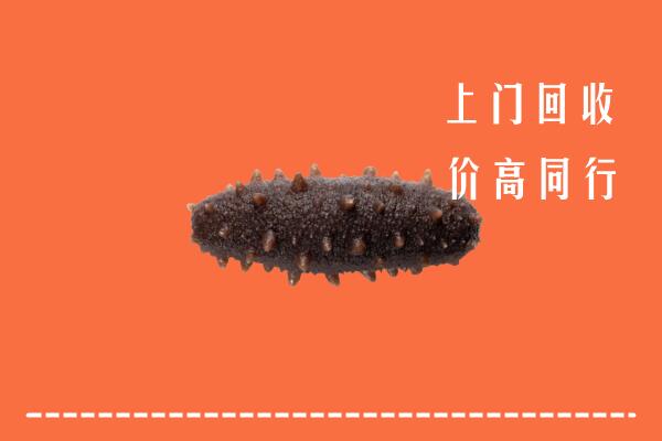 高价求购：芦淞区回收海参