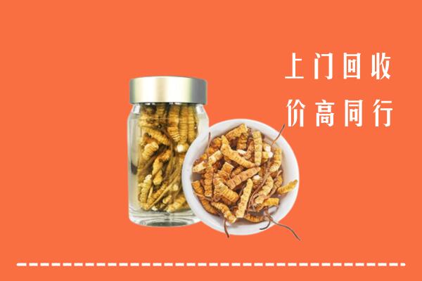 芦淞区高价回收冬虫夏草